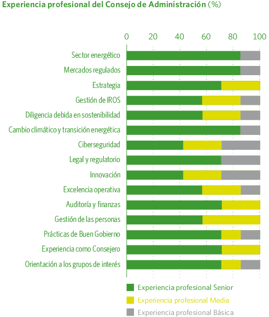 Experiencia profesional del Consejo de Administración