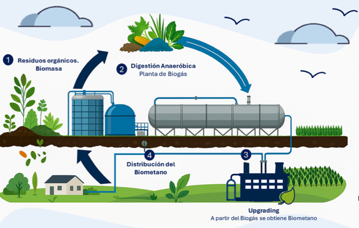 Impulsando la transición energética